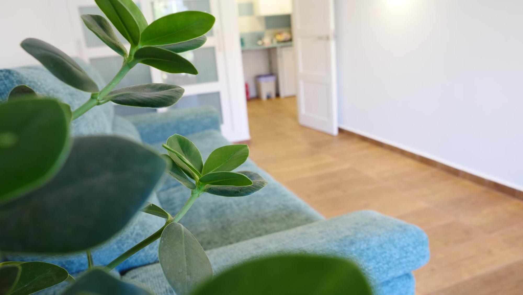 Tuerkiz Kanaan Apartman Puerto de Santiago  Esterno foto
