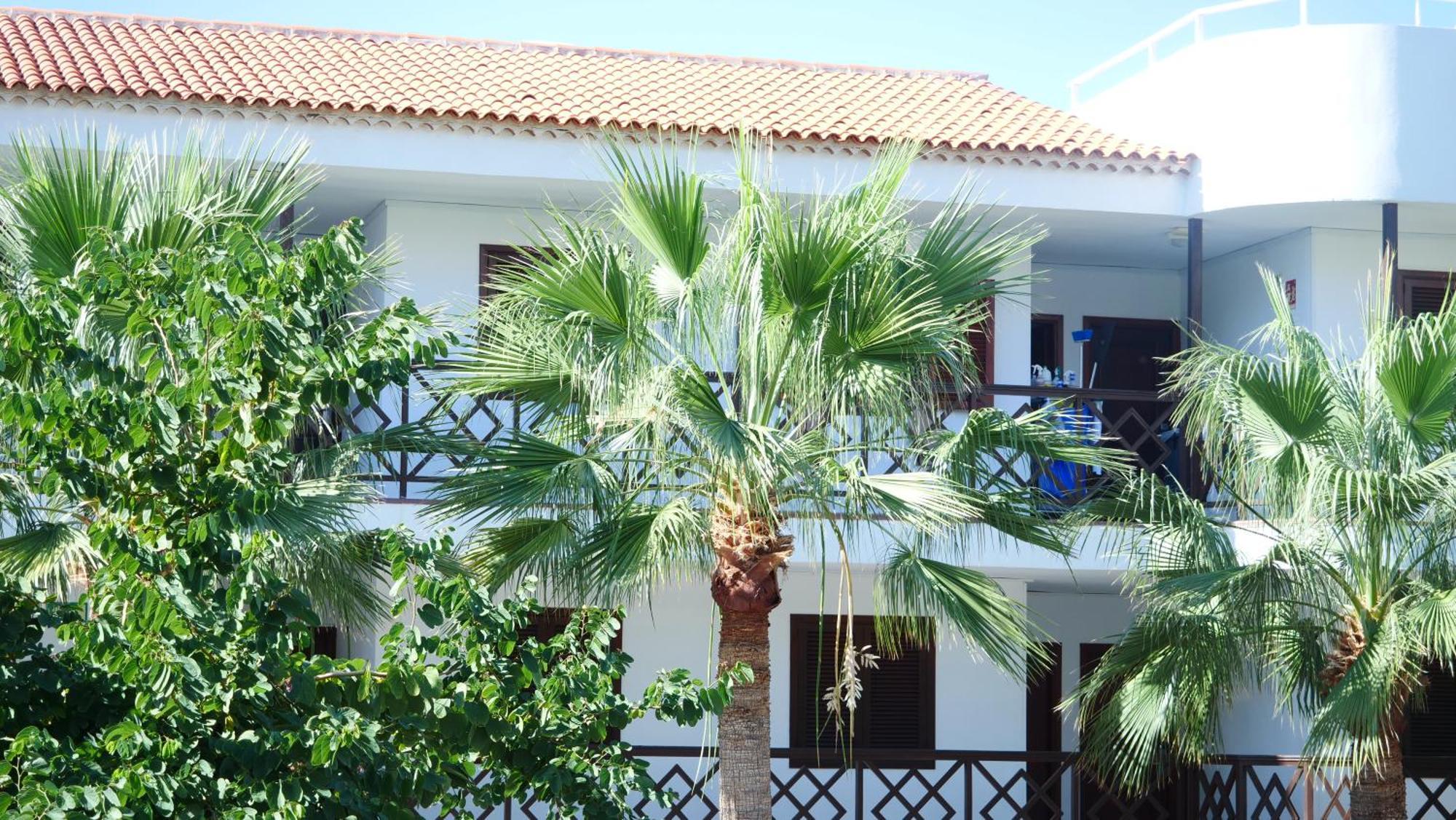 Tuerkiz Kanaan Apartman Puerto de Santiago  Esterno foto
